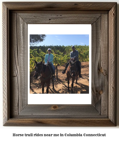 horse trail rides near me in Columbia, Connecticut